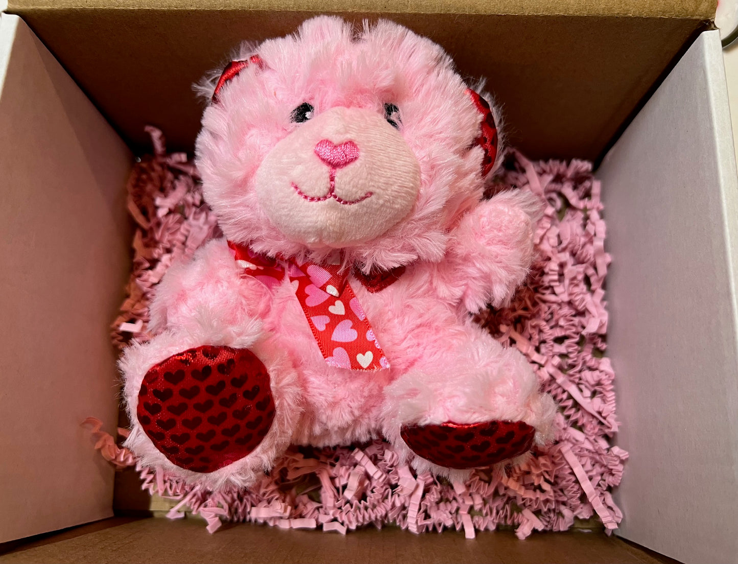 Valentine's Day Fun Gift Box for Kids | Valentine's Day Box | Valentine Treat | Treat Box