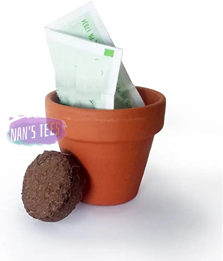 Terracotta Mini Grow Pot Kit | Assorted Best Gardening Gifts Favors Weddings Parties Events Trendy