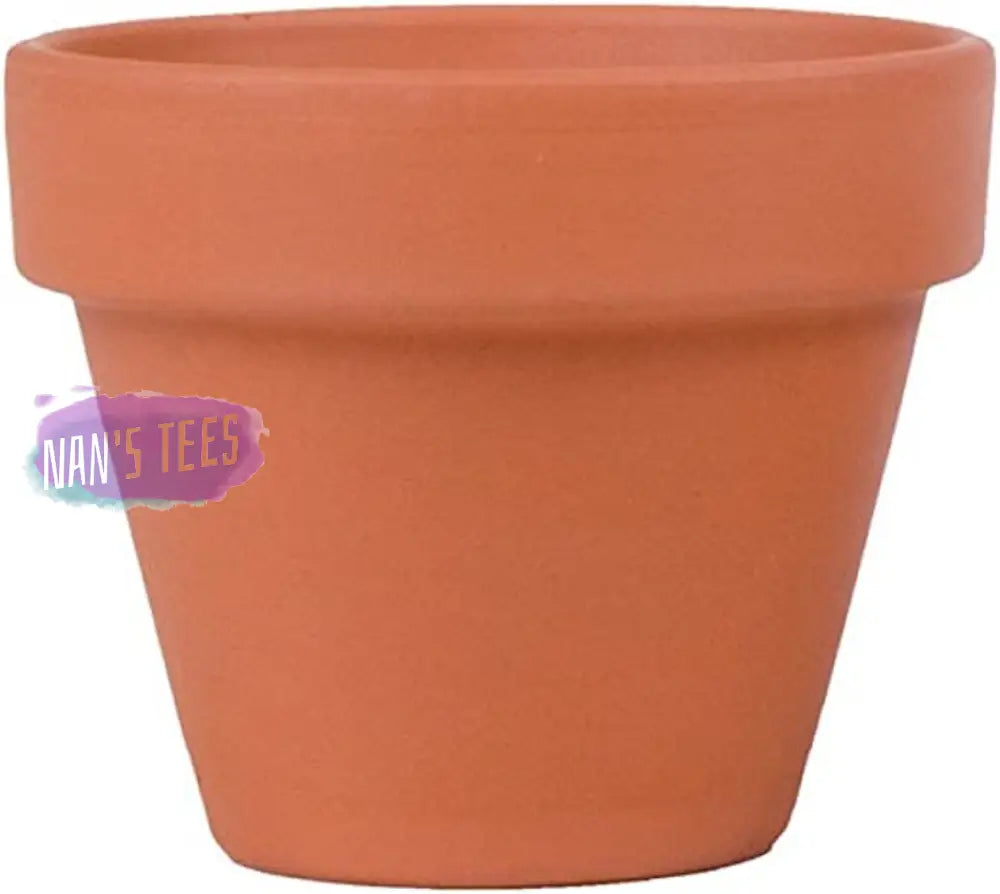 Terracotta Mini Grow Pot Kit | Assorted Best Gardening Gifts Favors Weddings Parties Events Trendy
